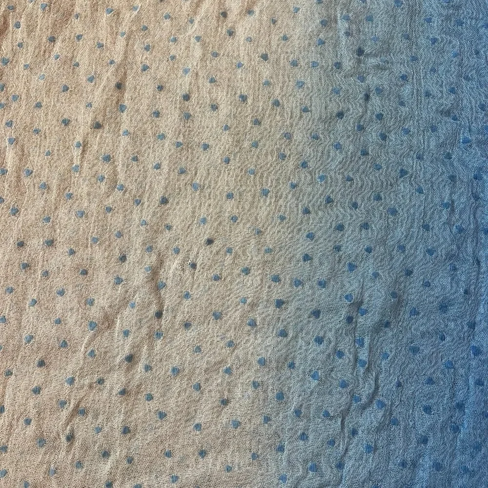Pretty Persuasions Blue Ombre Swiss Dot Scarf Shawl